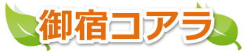 御宿コアラ｜御宿町・いすみ市・勝浦市・大多喜町の介護タクシー